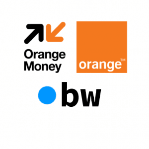 Buy a BW Domain with Orange Mobile Money