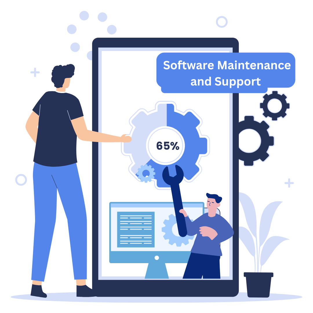 Software Maintenance and Support in Botswana